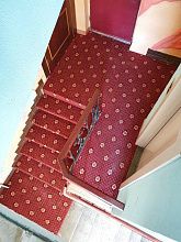 Пушистый полушерстяное ковровое покрытие SIDNEY ROSE с укладкой на лестницу