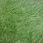 Овчина двухшкурная GREEN 02SS 4003